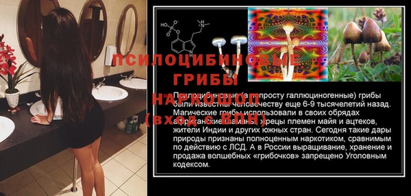 мяу мяу мука Белокуриха