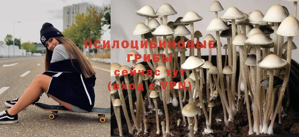 мяу мяу мука Белокуриха