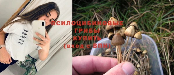 apvp Беломорск