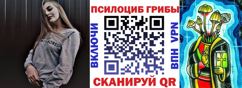 Галлюциногенные грибы мицелий  Купить  Губаха 